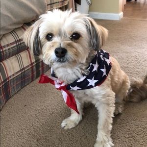 Meet your Posher, Maura